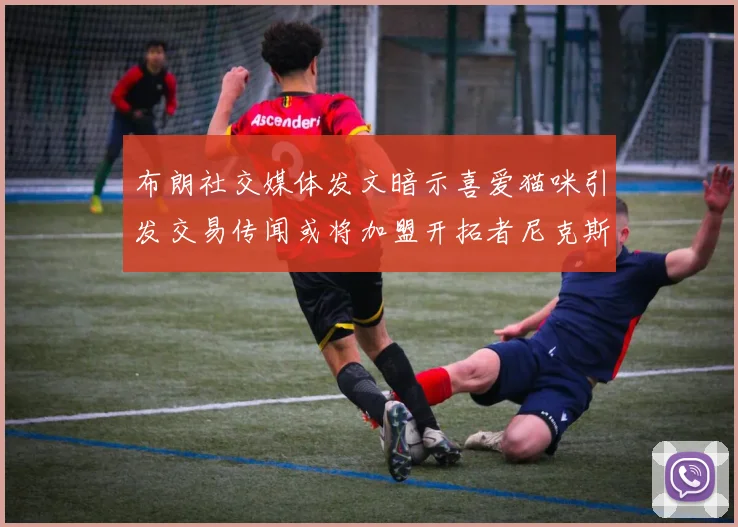 布朗社交媒体发文暗示喜爱猫咪引发交易传闻或将加盟开拓者尼克斯雷霆湖人